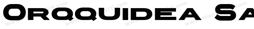 Orqquidea Sans Bold字体转换